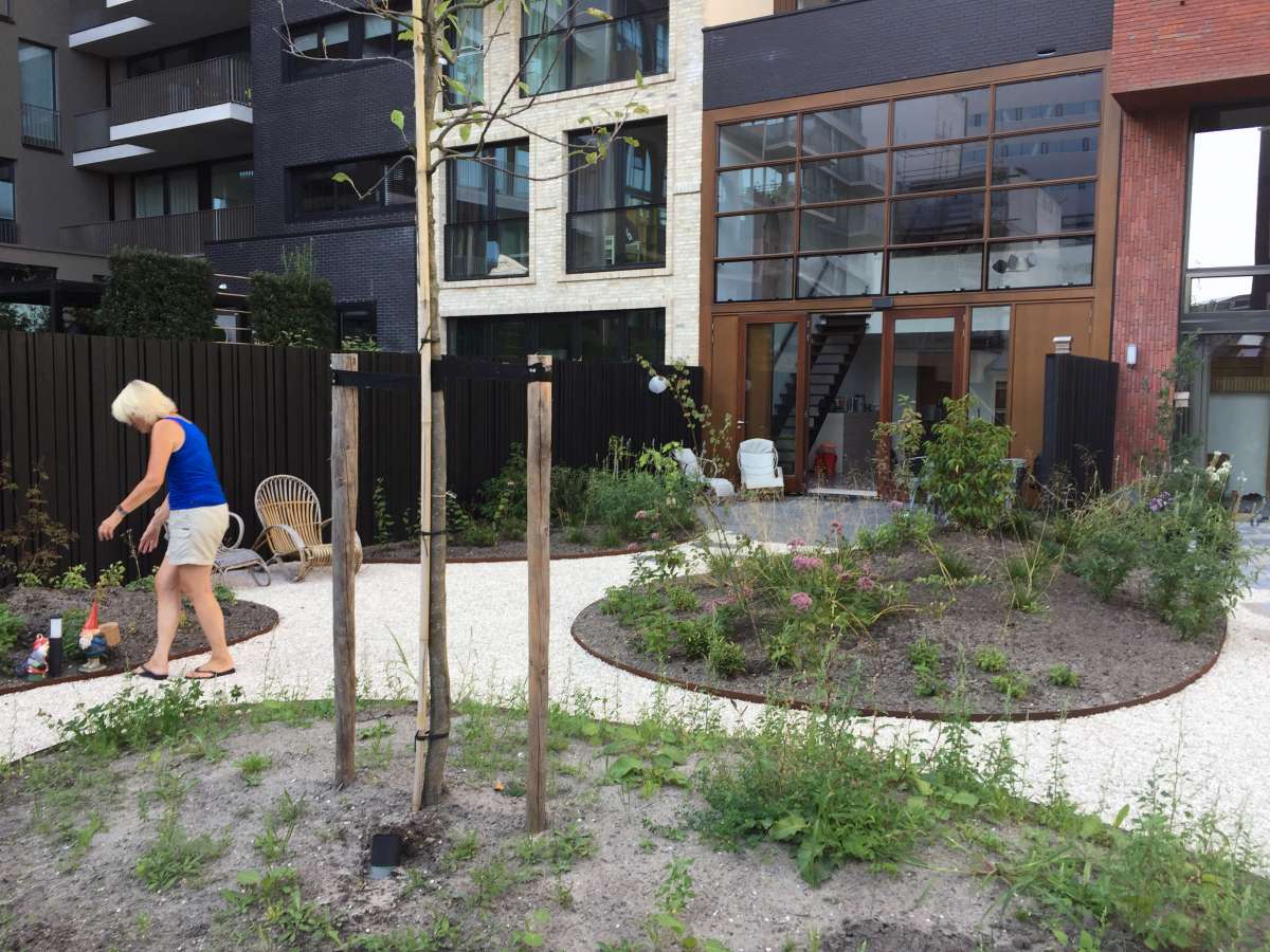 Tuinontwerp Le Far West - Amsteltuinen, net na de aanleg